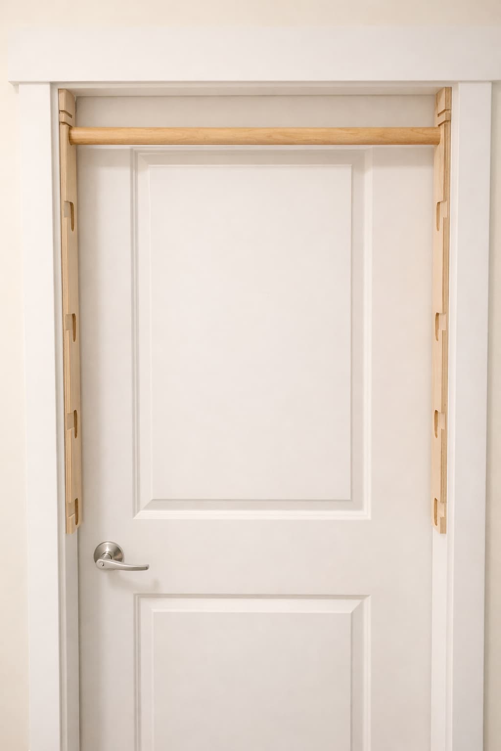 White door with pullup bar installed closed